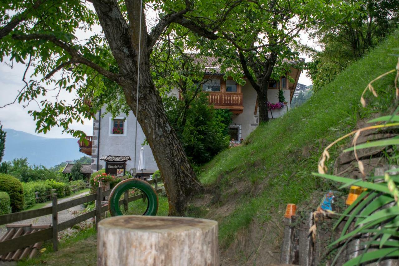 Ritschhof Guest House Laion Ngoại thất bức ảnh
